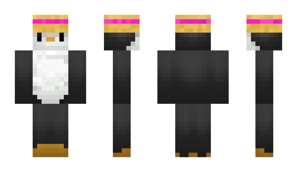 DaToosjePower Minecraft Skin