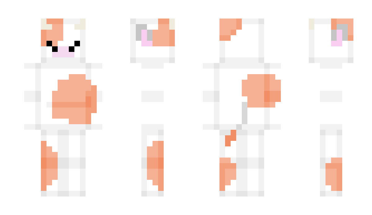 no0odles Minecraft Skin