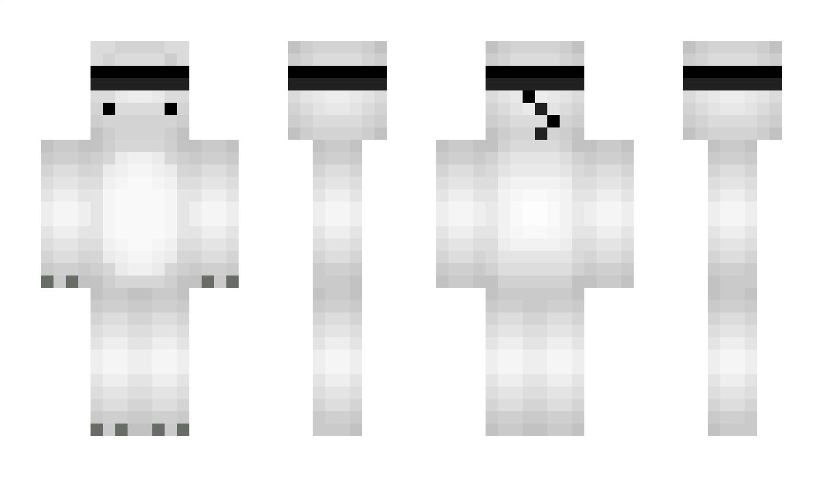 PolarzzMC Minecraft Skin