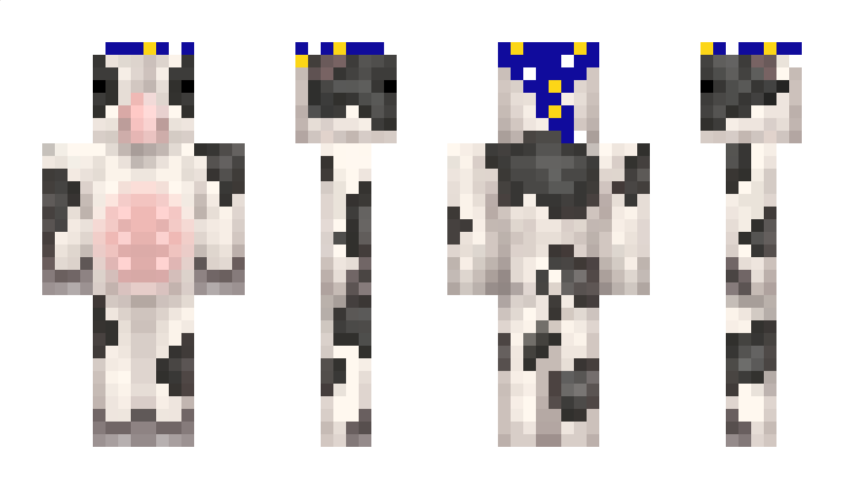 Polish_Trzmiel Minecraft Skin