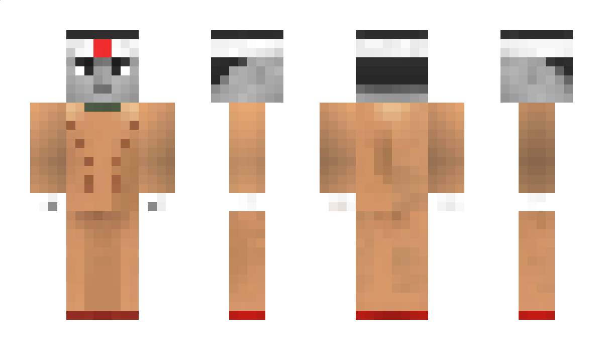 Democratically Minecraft Skin