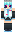 VEnderbee Minecraft Skin