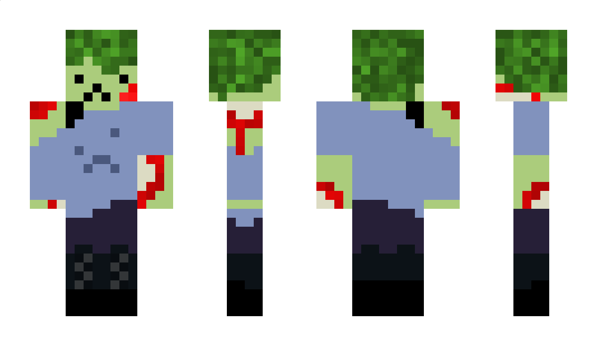 NameThe Minecraft Skin