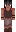 jayshart Minecraft Skin