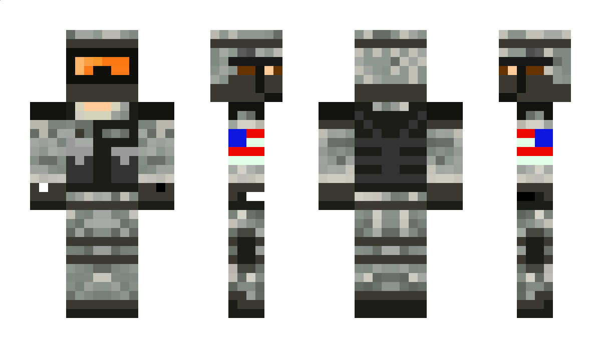 seals Minecraft Skin