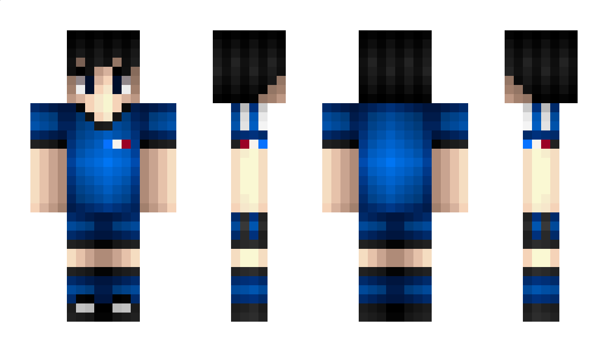 Pavard Minecraft Skin