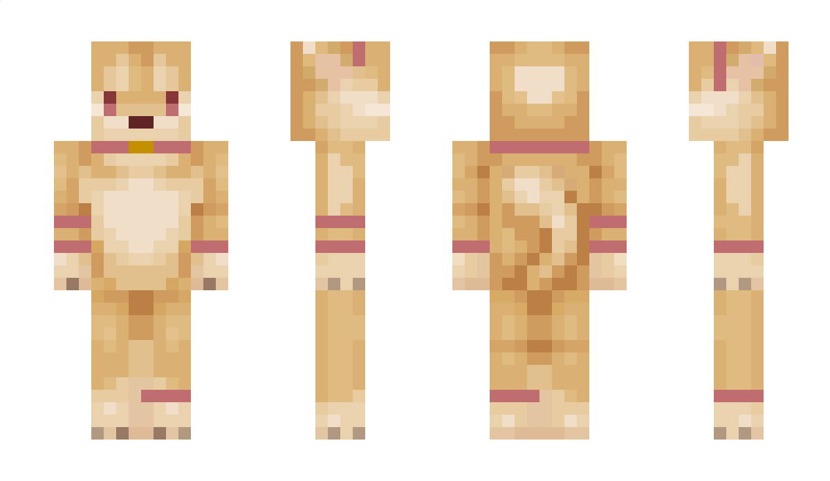 noodles4lifee Minecraft Skin