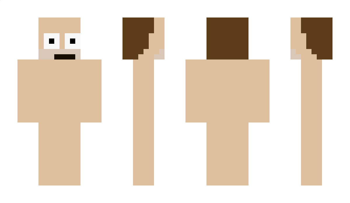 PDIDDLER Minecraft Skin