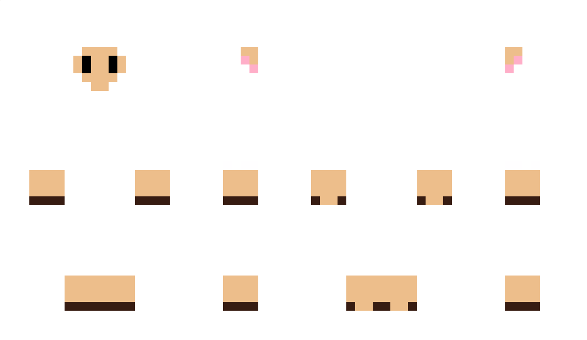 s0m3_h4x0r Minecraft Skin