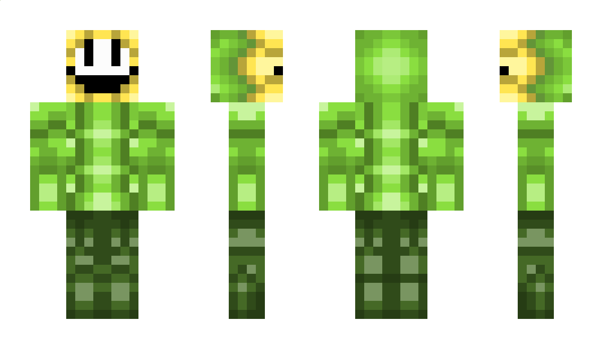 Floweeyy Minecraft Skin