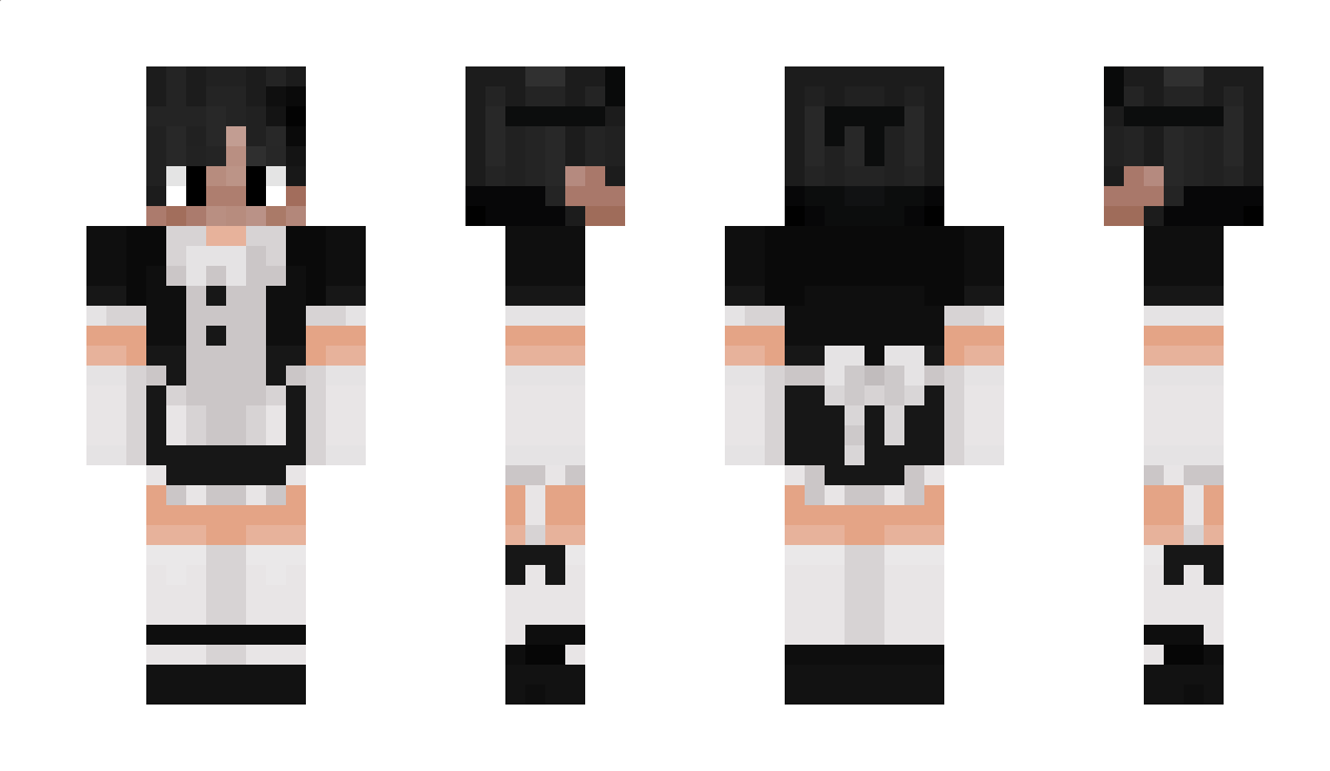 AsianRiceCooker Minecraft Skin