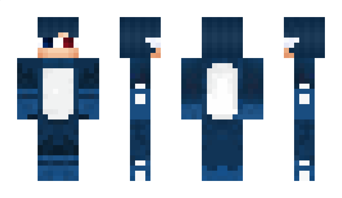 nilsib1lsi Minecraft Skin