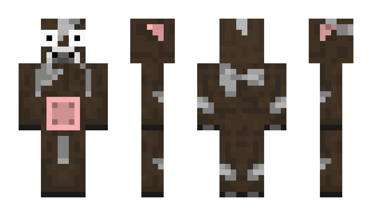 Dolfin Minecraft Skin