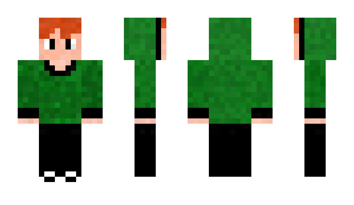 DerLMeister Minecraft Skin