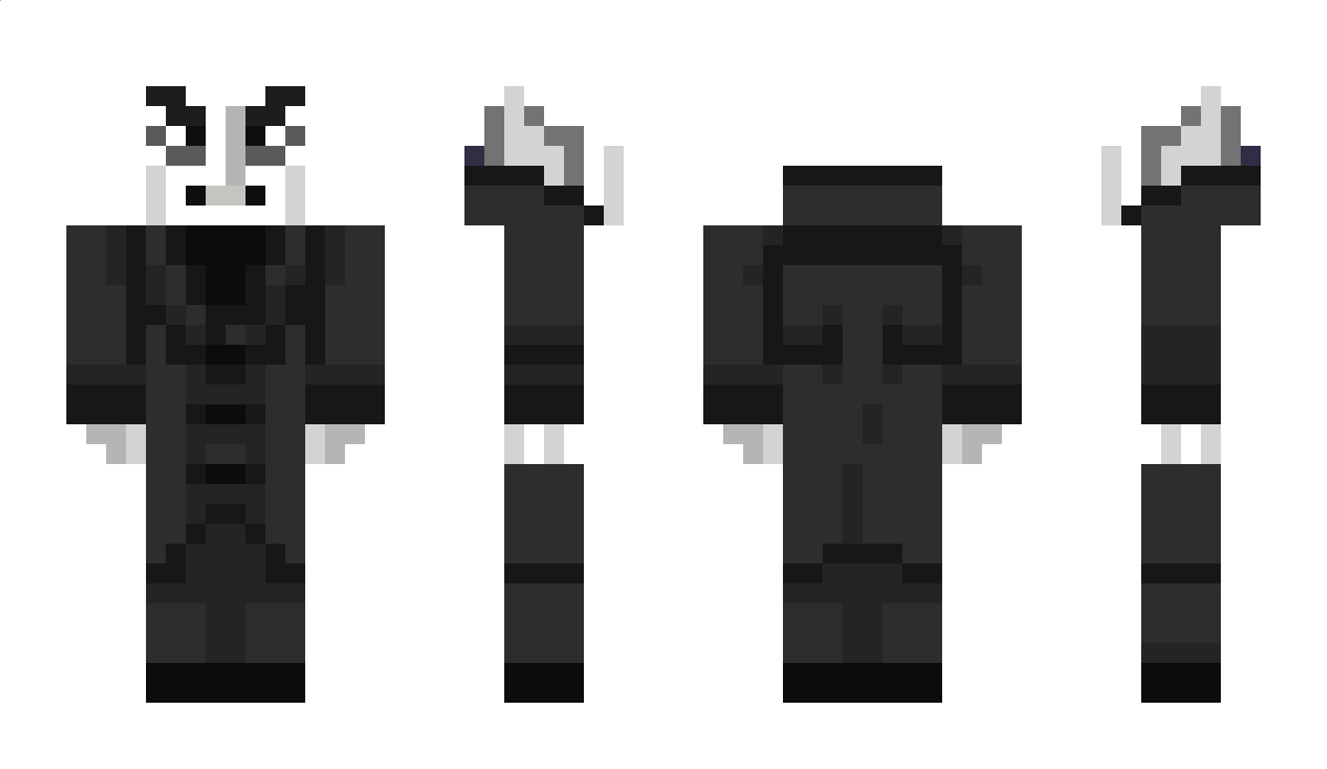 Immagination Minecraft Skin