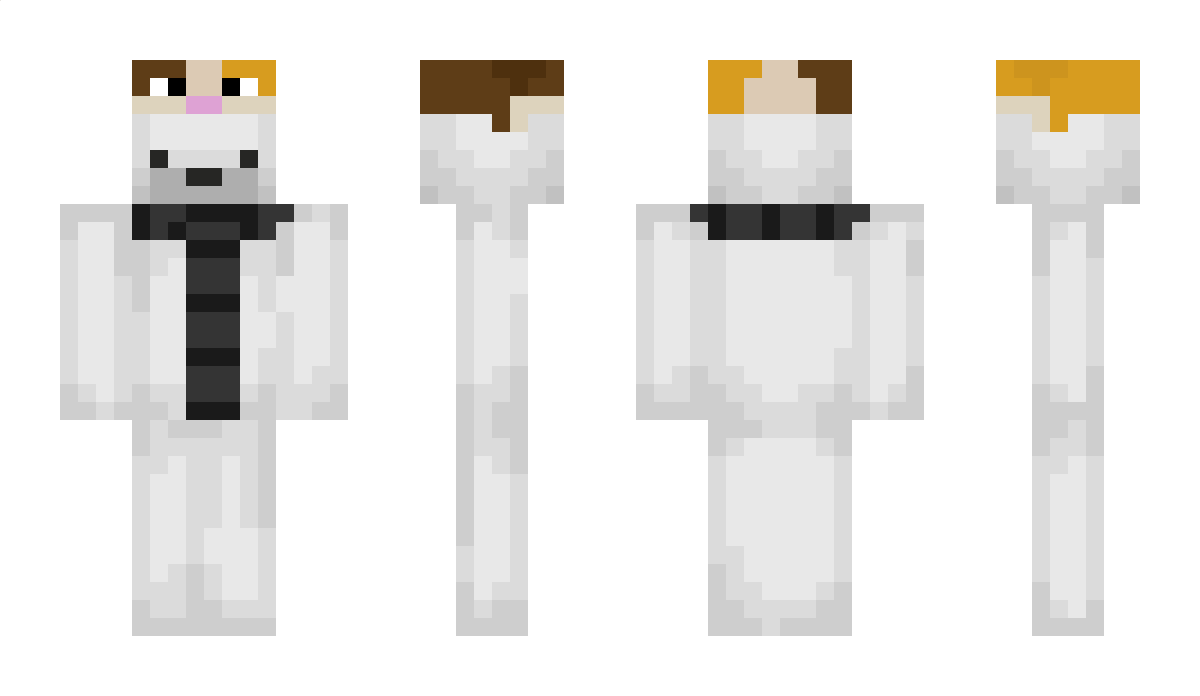 TTVTimmy2424 Minecraft Skin