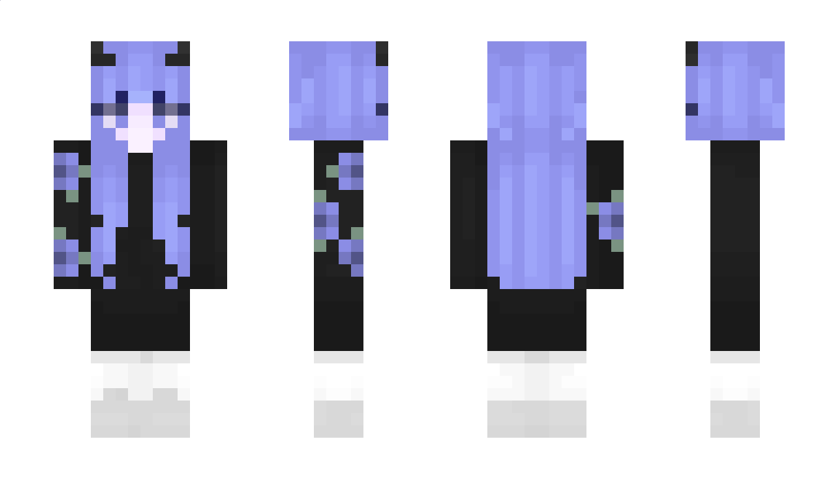 WTAS Minecraft Skin