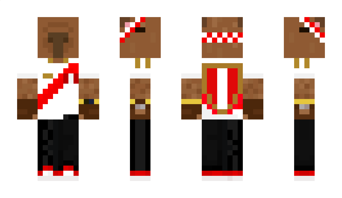 chisuuu_ Minecraft Skin