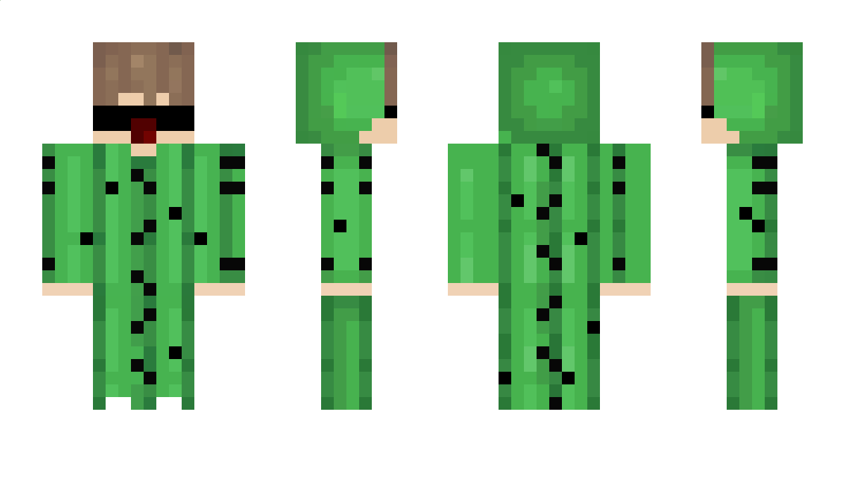 Luibrooo Minecraft Skin