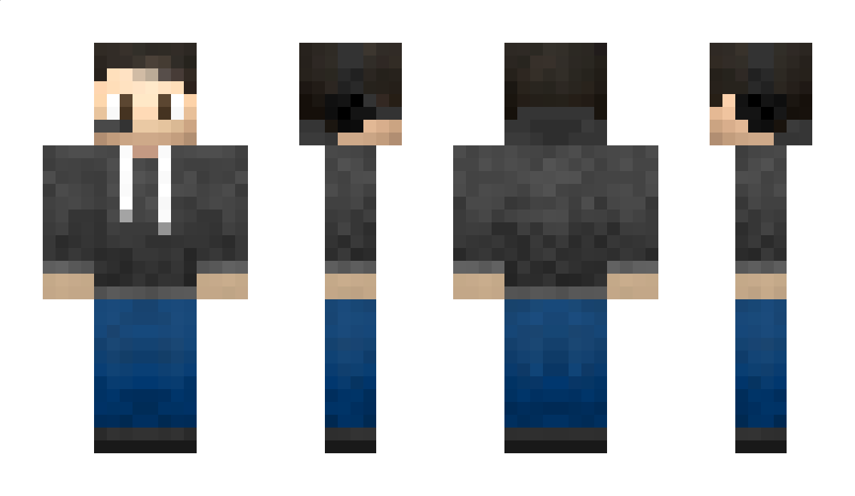 MedDolphin Minecraft Skin