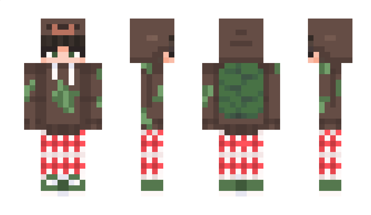 _TurtleBear Minecraft Skin