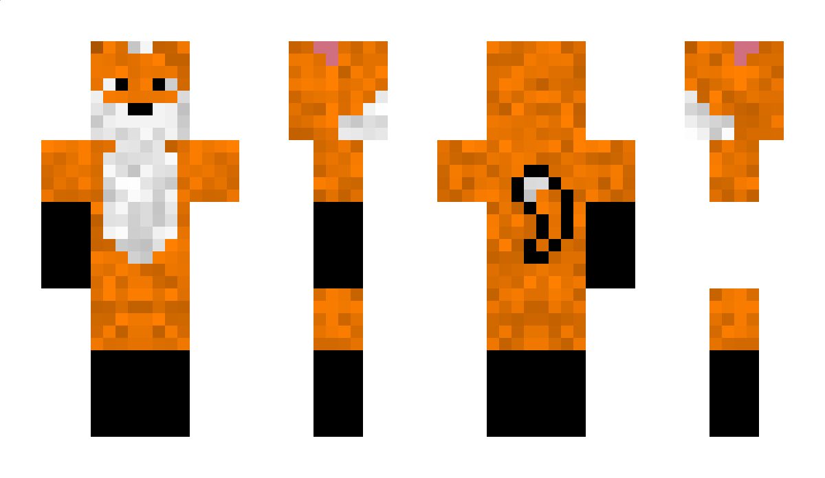 patt Minecraft Skin