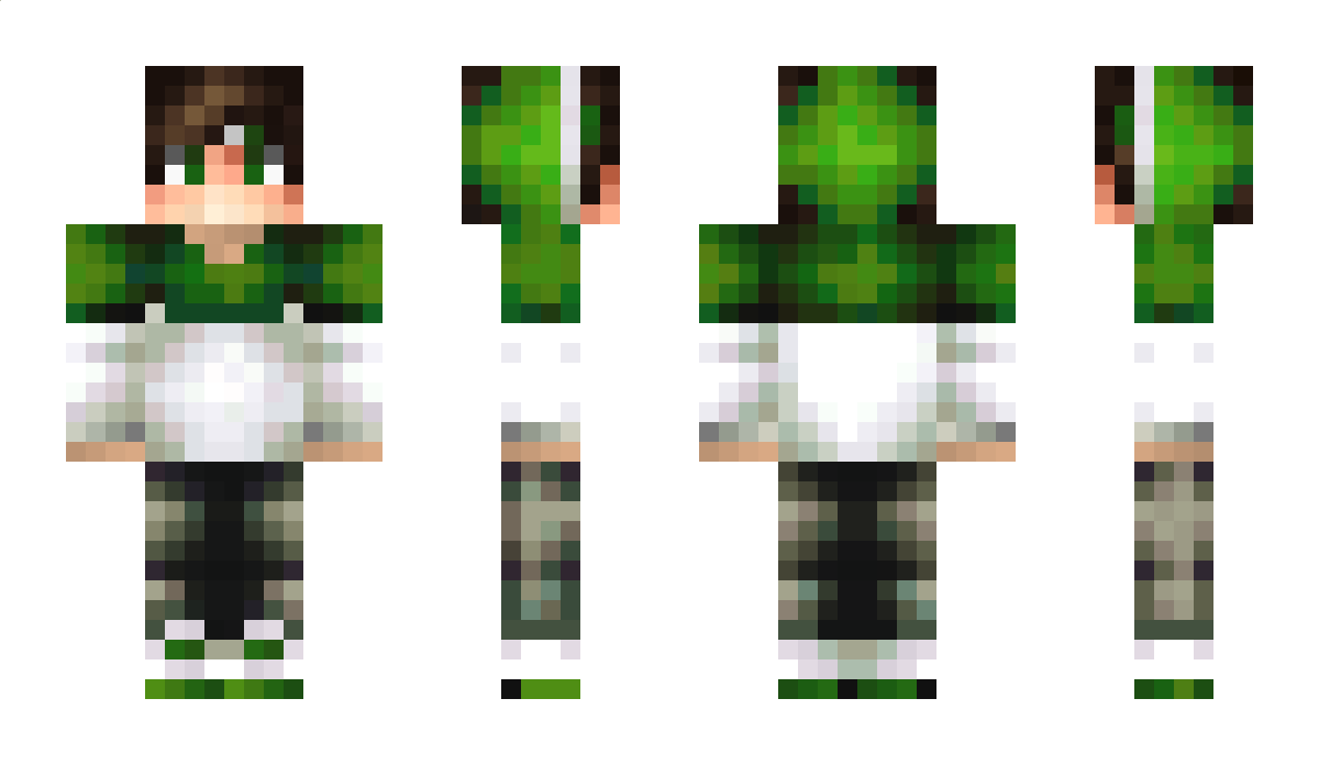 precysand Minecraft Skin