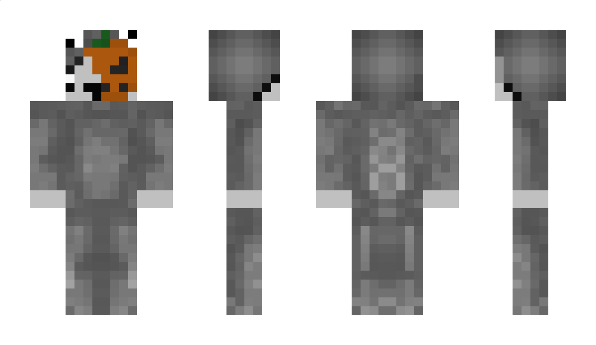 Perry007_ Minecraft Skin