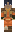 bridger24 Minecraft Skin