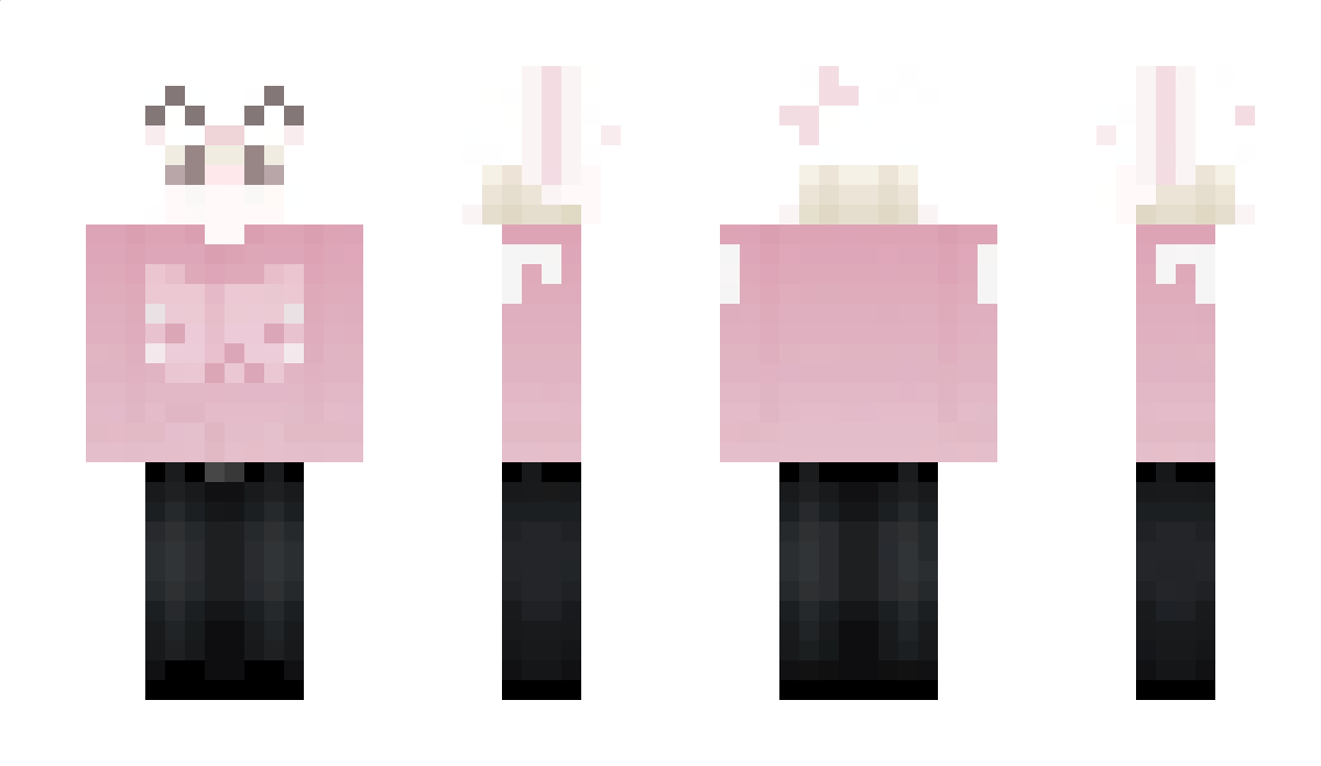 enhyts Minecraft Skin