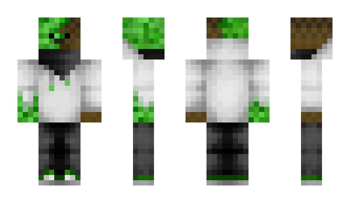 Railing Minecraft Skin