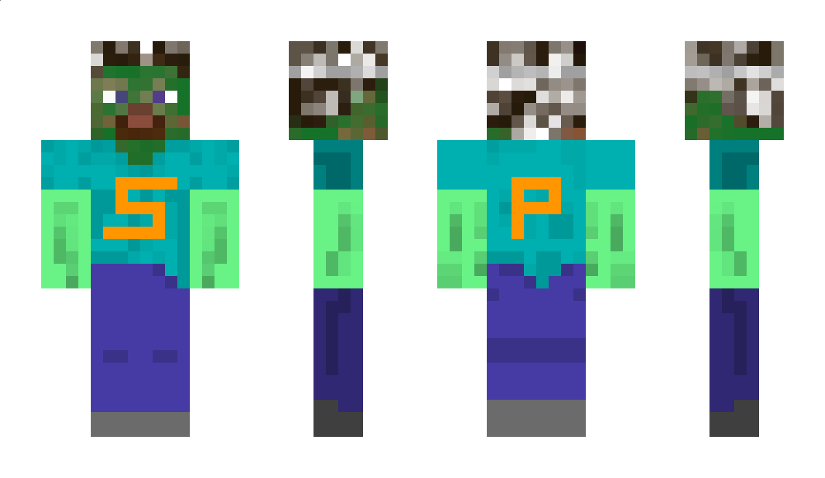 DragonSMP Minecraft Skin