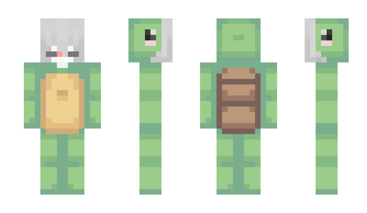 SpiceTurtle Minecraft Skin