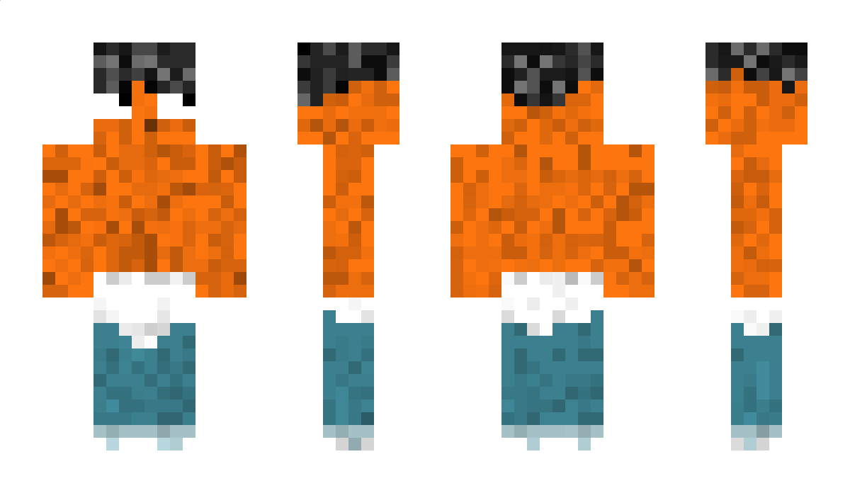 SWNEE Minecraft Skin