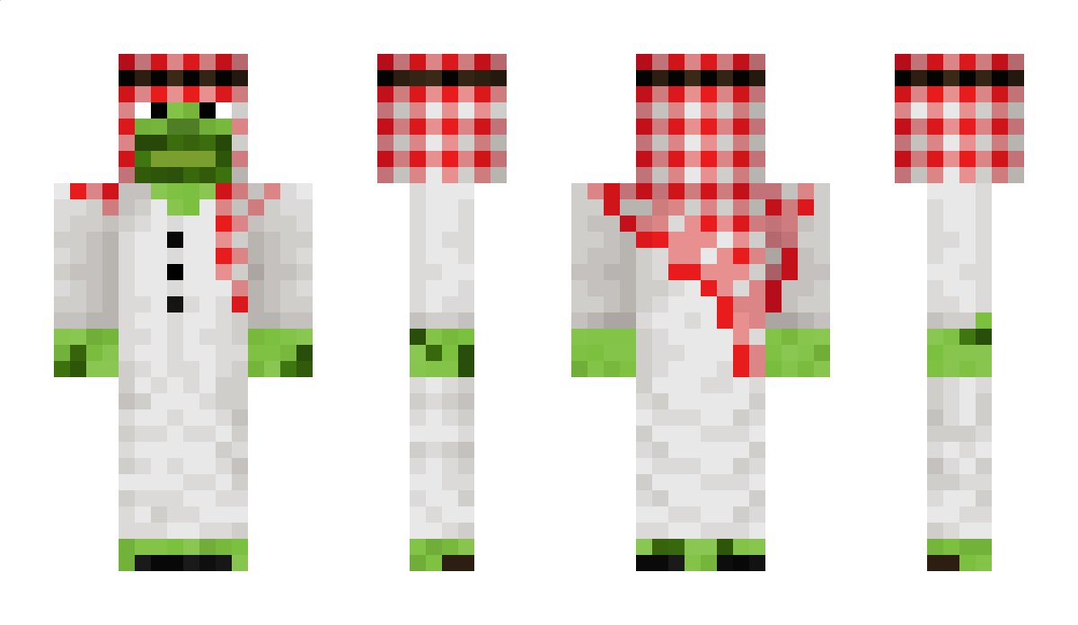 DibaVis Minecraft Skin