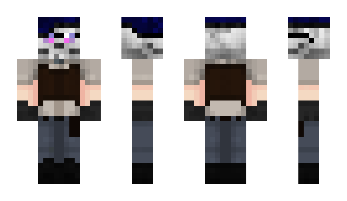 Panini Minecraft Skin