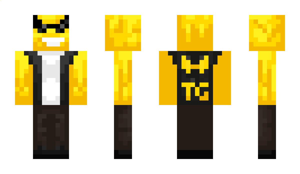 ToastedGoose Minecraft Skin