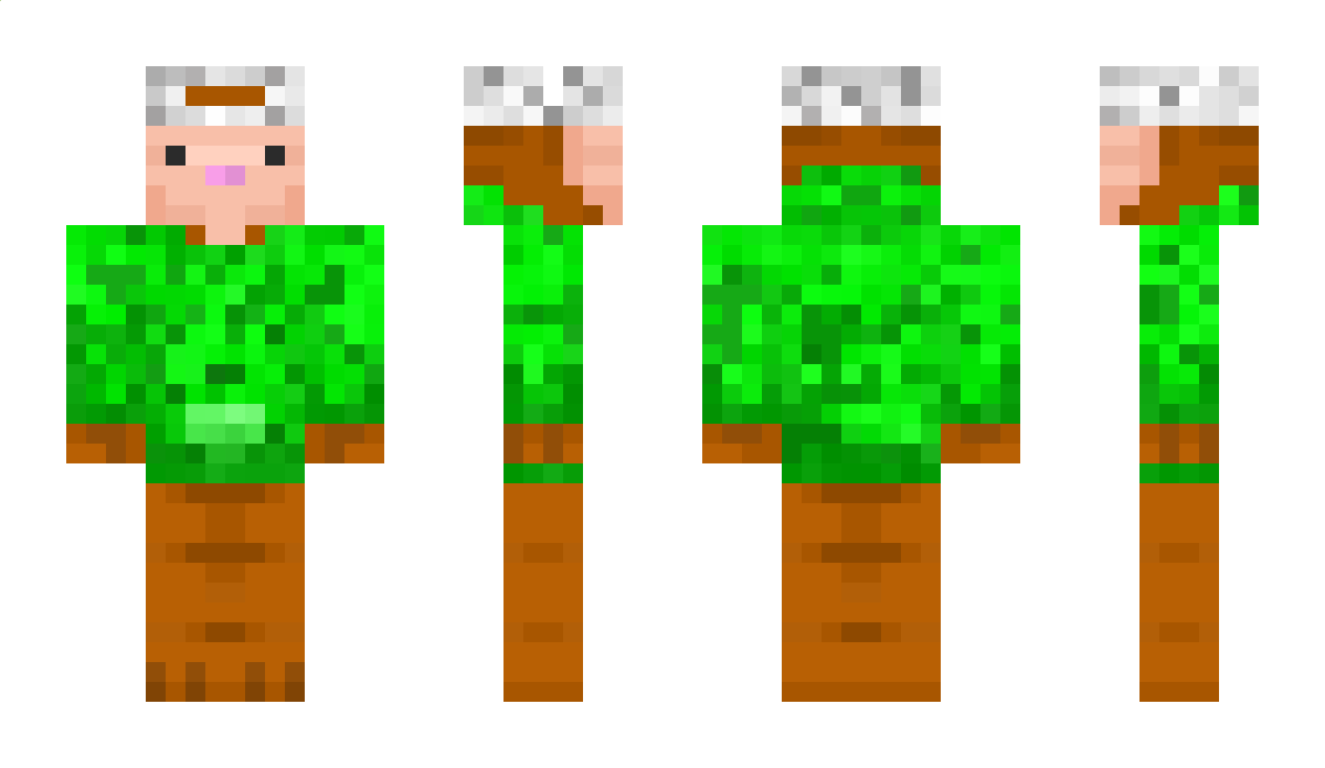 belkinark_FX Minecraft Skin