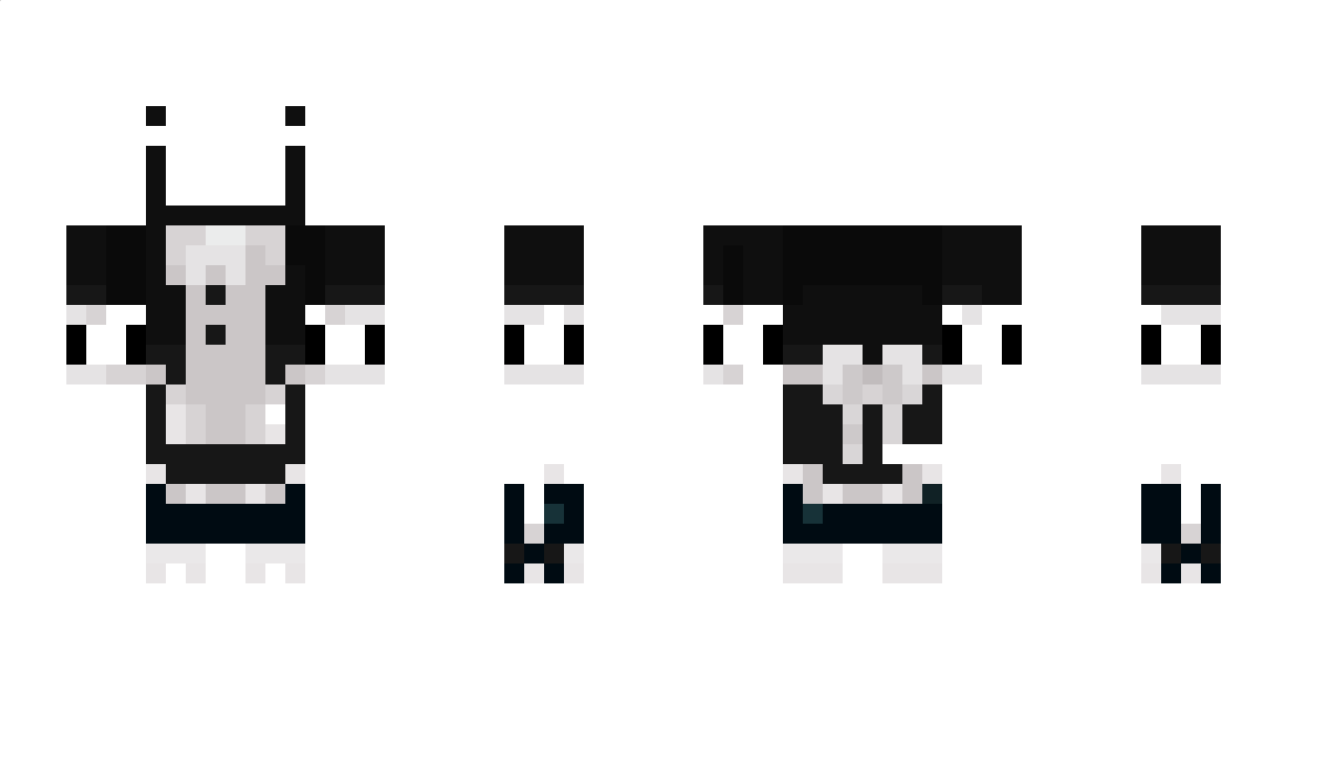 nb4p Minecraft Skin