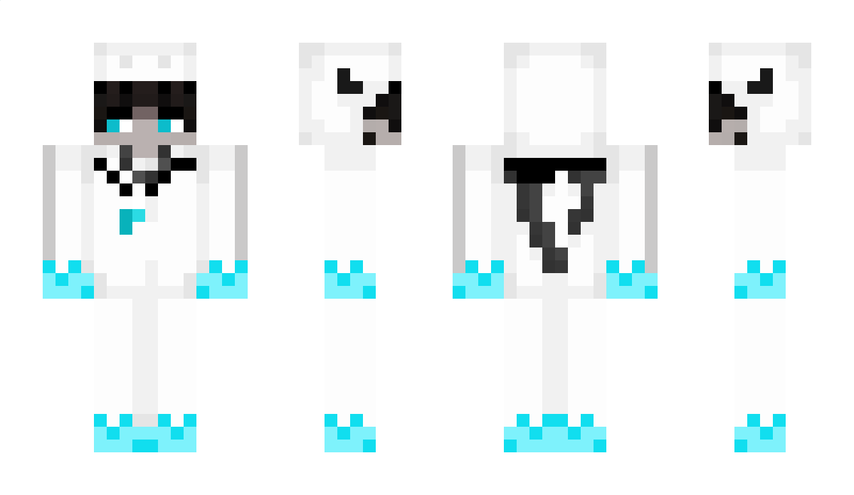 WeisserDracheR Minecraft Skin