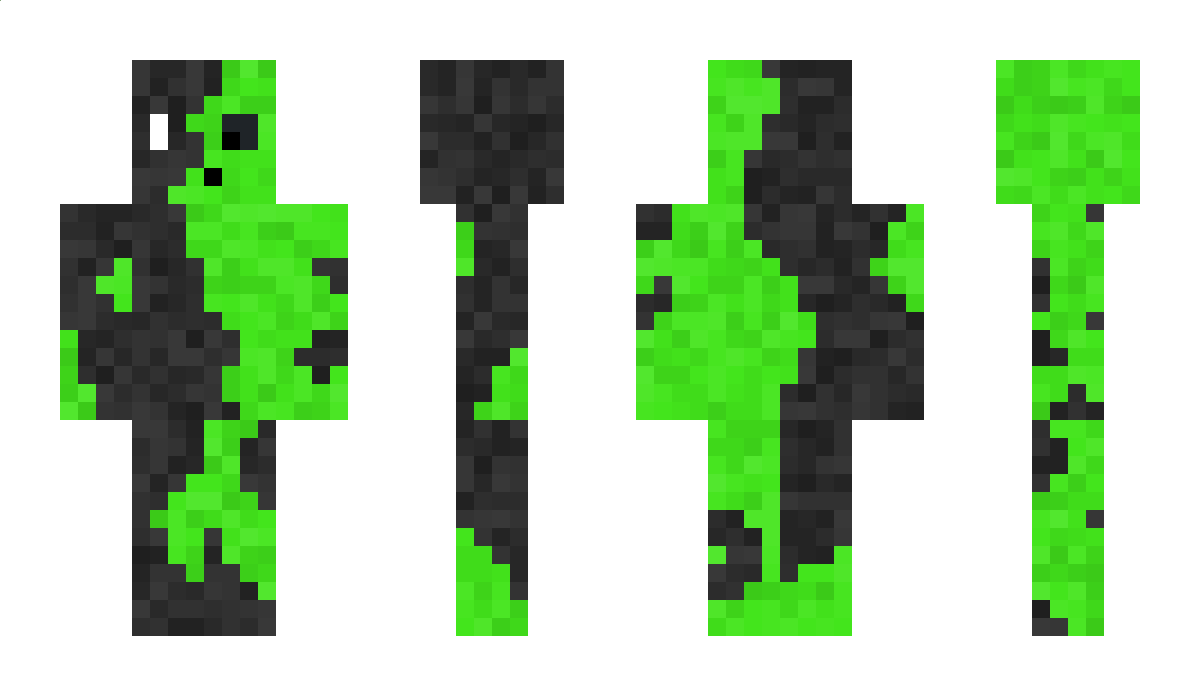 Biduldoudel Minecraft Skin