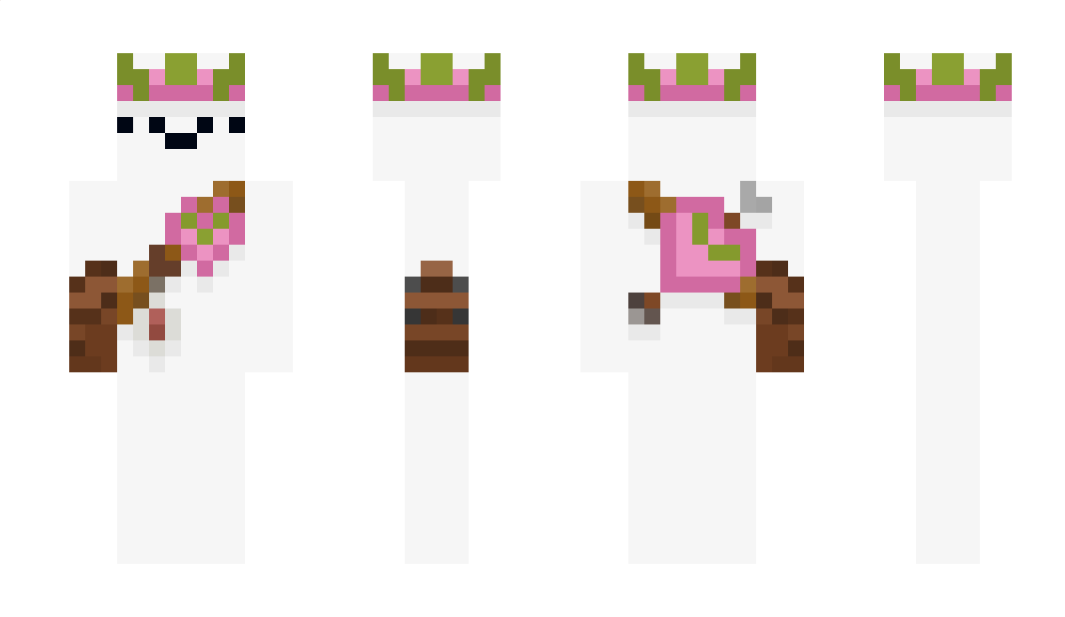 Spacus Minecraft Skin