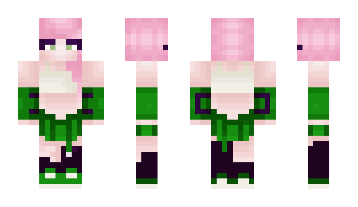 NovoThe2 Minecraft Skin