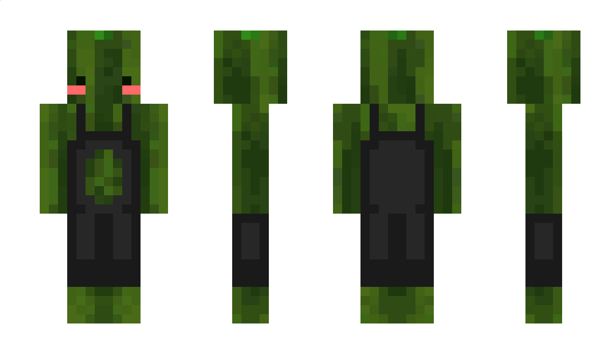 oscar543 Minecraft Skin