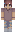 IcyPenguin11 Minecraft Skin