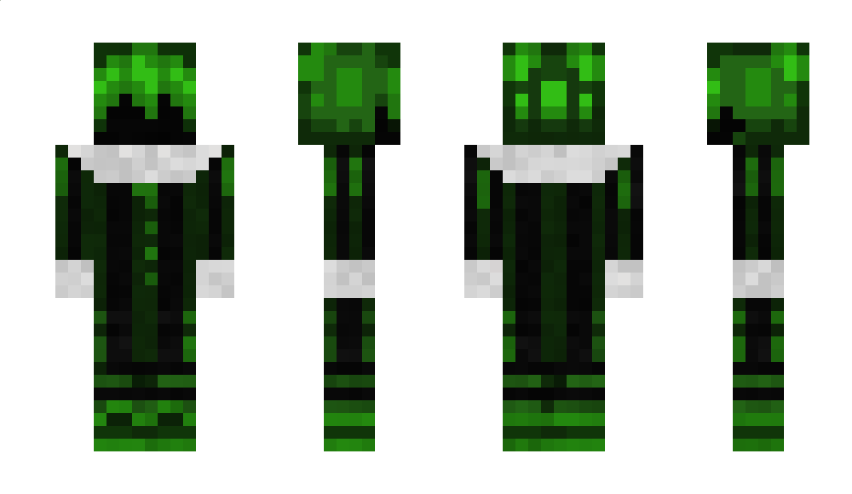 Heartless_Ray Minecraft Skin