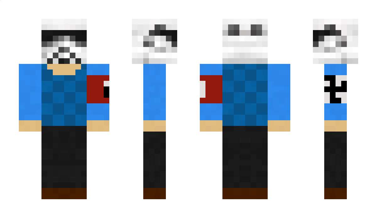 PELLEBOLLAR12 Minecraft Skin