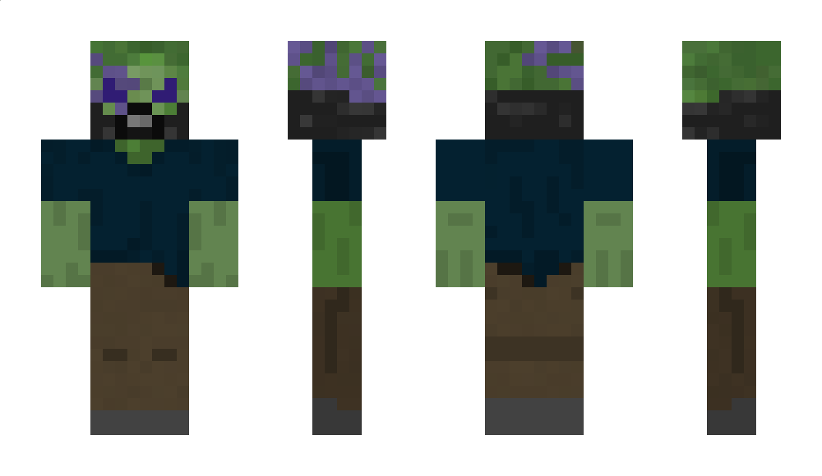 penuin Minecraft Skin