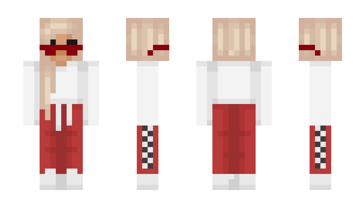 SALC Minecraft Skin