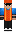 erinaceus_ Minecraft Skin